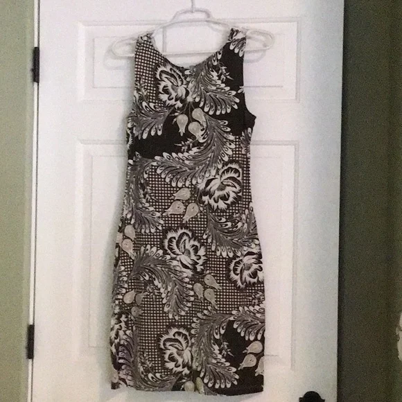 Title nine dress - Picture 2 of 2